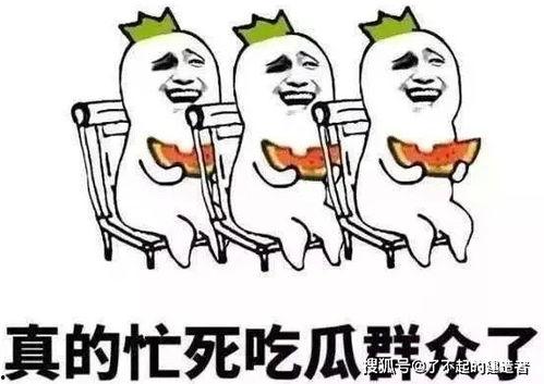 娱乐吃瓜酱上班,揭秘职场日常，带你领略办公室里的欢乐与八卦