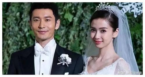 娱乐圈理性吃瓜