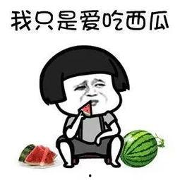 娱乐吃瓜酱内向,内向者的快乐生活指南