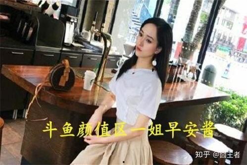 娱乐吃瓜酱四六级,四六级考试中的趣味解读与备考攻略