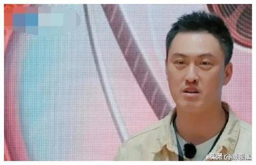 娱乐圈吃瓜怎么说,揭秘明星背后的故事与真相