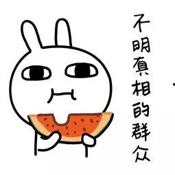 娱乐吃瓜经典语录图片,笑料百出，揭秘明星幕后趣闻